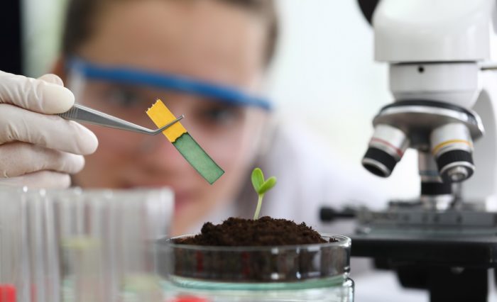 Close-up of small germ in soil. Glass container with green plant leaf. Woman with tweezers holding litmus test. Modern laboratory and investigation. Biology and agriculture concept