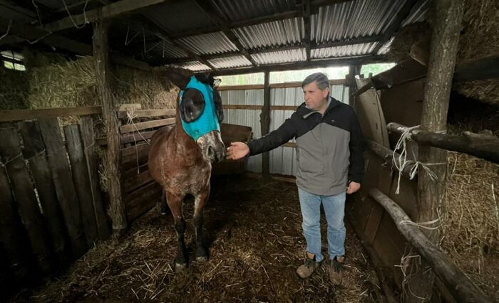 visita caballos