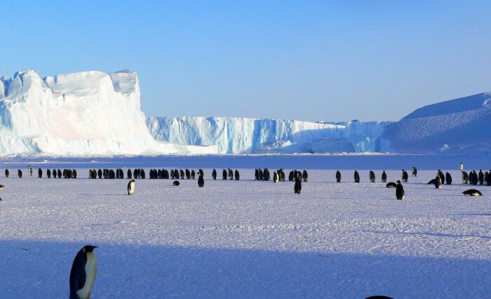 Proyecto antartica