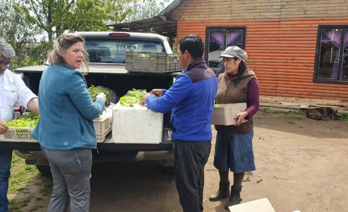 actividad mapuches3