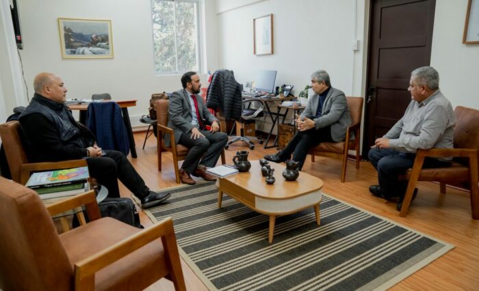 reunion-udec-gore-nuble-1024x683