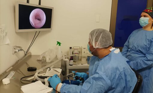 Colerrectal1-e1760974643569
