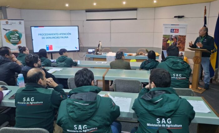 Crédito: Facultad de Ciencias Veterinarias UdeC