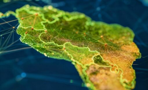 Mapeo-1-e1763643228393