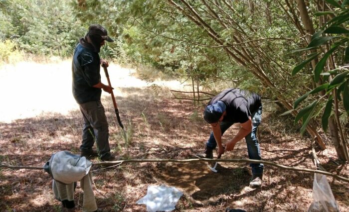 Foto-1-Campaa-de-Muestreo-e1763735949265 Crédito: Facultad de Agronomía UdeC