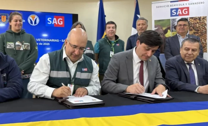 SAG-2-e1766086875816-1024x683