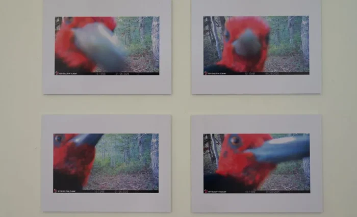 ADO8010-1024x681 ADO8010-1024x681