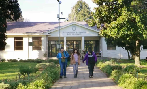 campus-chillan-006